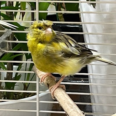 5QNXD4myHE98614's profile picture. そのへんに転がっている石ころ庶民です。