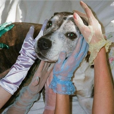 slowntown's profile picture. 