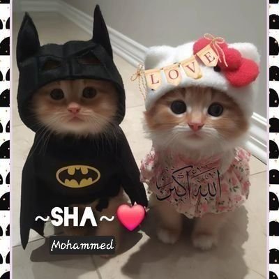 sha_m292411's profile picture. Aku mencintaimu setiap hari tanpa perlu ada tarikh untuk mengingatinya~SMILE😘💞
                                                    ❤️SEVGI❤️SAYGI❤️SADAKAT❤️