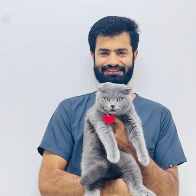 _Huz_Aifa_'s profile picture. Your pet doc 🩺 https://t.co/mvucQ9RsHR