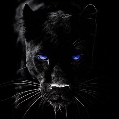 JQtwit21's profile picture. Im old. Just a trader. Not great but getting there.