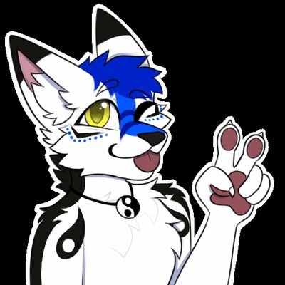 AJWollf's profile picture. never mess with the wolf the ONE AND ONLY AJWolf 🐺
| 21+ |
| lvl 27 |
| he/him |
☆Jamaican Fur 🇯🇲☆
SoCal Fur 🏖☆  Taken