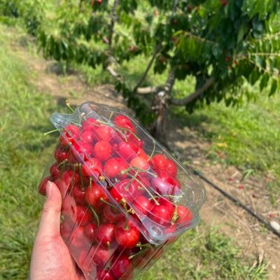 marioNosuper's profile picture. 