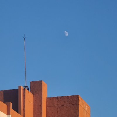 iriswisteria's profile picture. 我儘此侭