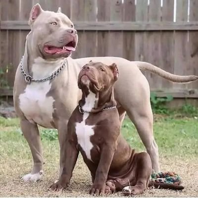 NathanBurr38630's profile picture. 