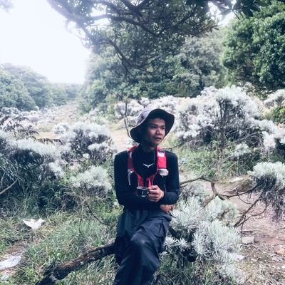 adptrmhmdd's profile picture. 