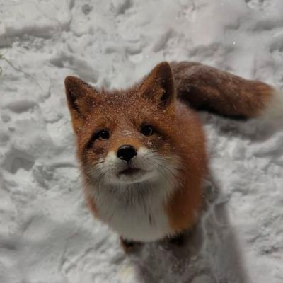 1h7768996's profile picture. 