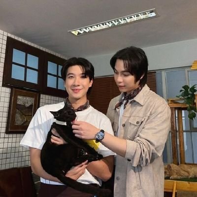 KylieJane475183's profile picture. I am from Australia, I am a cat lover and I absolutely love First & Khao and other random things