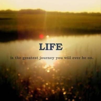 291nikky's profile picture. Hashake23..