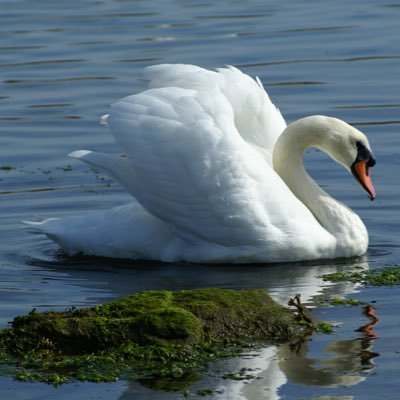 BrianLShaw's profile picture. Moved from the city. Happier in the country. Searching for the perfect pint.