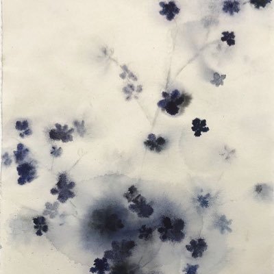 vambatta's profile picture. 