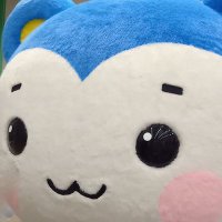 BBA1103🌟 (@staring20021103) 's Twitter Profile Photo