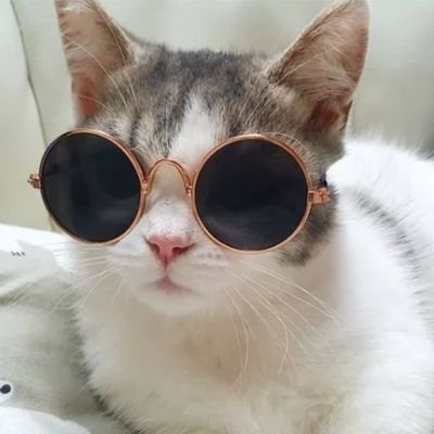 VinRos0902's profile picture. 