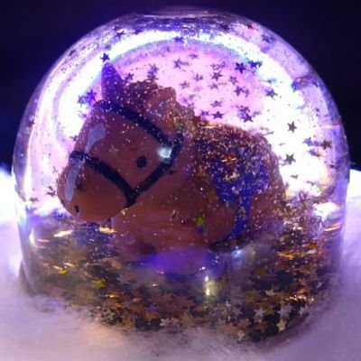 7VMHZdbgeld16JJ's profile picture. ■競馬（2007年秋華賞で競馬デビュー）
ダイワスカーレット、マツリダゴッホ、エアシェイディ、オルフェーブル、ゴールドシップなどなど。

■サラブレッドコレクション集め大好き。

■フットサル＆コンサドーレ観戦

■北海道　道の駅　全駅制覇目指してます💨

Amazonアソシエイトに参加しています。