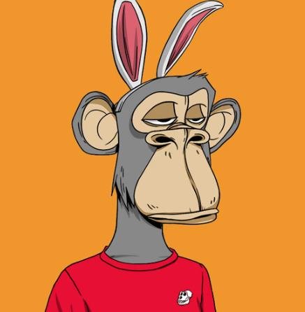 EvonneIrin81379's profile picture. 