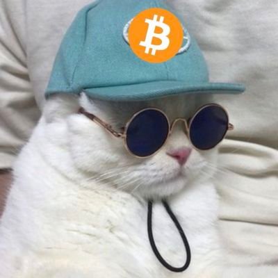 toto551738752's profile picture. 