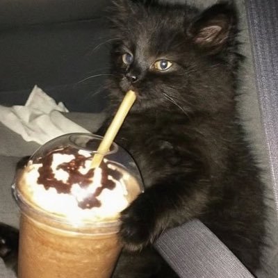 gorwh0re's profile picture. ↑ ↑ ↑cowgirl