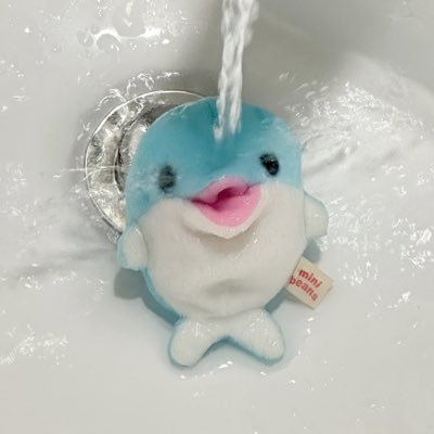 likokokoo's profile picture. 여성 초보투자계 일기장 공부장 🐬