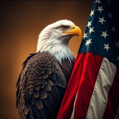 MichaelJRanieri's profile picture. Believer in Freedom and the constitution. Disbeliever in Anarchists, Evil, Injustice and media liars. Against liberal socialists and BLM terrorists. MAGA Proud!