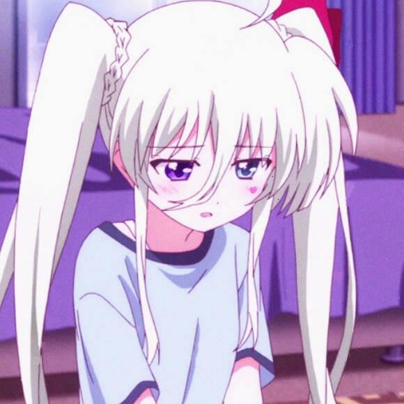 DerekNowok's profile picture. 