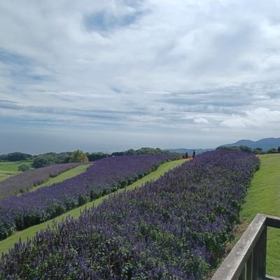 nonono532120712's profile picture. 社会人×Python自動化を毎日学習中
成長過程・学習ログ発信