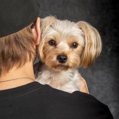 rierns's profile picture. 今津直幸・ZILCONIA・WHITE SHADOW・ナカノアツシ・GRAND COLOR STONE・望蘭ちゃん推し♡ フォローは歓迎ですが、無言フォローは基本フォロバしてません✋🏻🆖