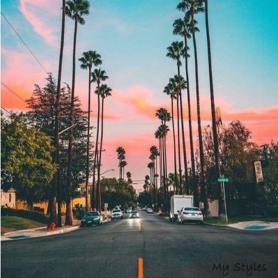 sebastien174049's profile picture. 