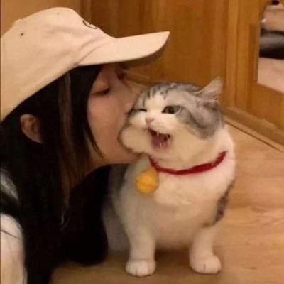 tmoh0's profile picture. 好きな方を見る専用のアカウントにしています。