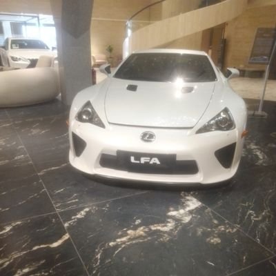 ReallyReal20560's profile picture. 