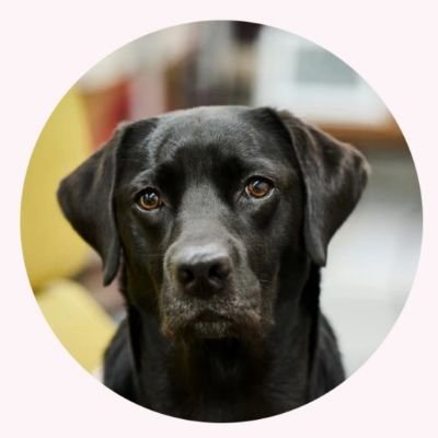 fastclean_Aira's profile picture. 不用品回収、遺品整理、ゴミ屋敷清掃などを鹿児島県全域でやっております。　一般廃棄物収集運搬、遺品整理士、古物商などの資格有り。
鹿児島市、霧島市、その他の市は、業務提携委託。
年間2000件ほど不用品回収の実績があります。
鹿児島県姶良市加治木町小山田1406-2
お問い合わせ📲 : 090-5566-3880