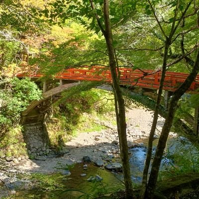 tartrazine_427's profile picture. 応化B1
ねことコーヒー，えびのだんご