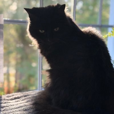 crankypants36's profile picture. mainah, terf, fitness fan, wannabe Christian, foodie, maga, xennial,