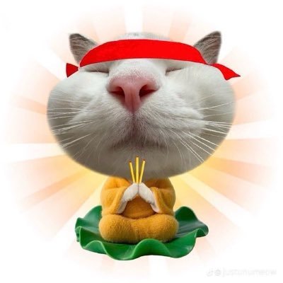 mamaew4ka's profile picture. 