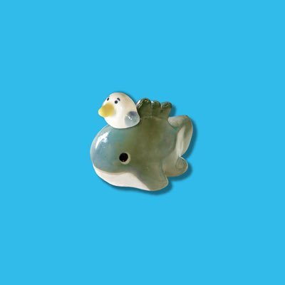 umicoro_'s profile picture. 海の生き物をメインに陶器の小物を作っています◟𓆡◝ ユルすぎる生き物たち、生まれてきます🥚ｻｶﾅ.ﾄｶｹﾞ.ﾍﾋﾞ...色々暮らしてます(元水族館飼育員🐬の人 )