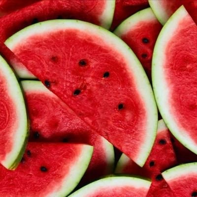 pijkmvvg's profile picture. From the river to the Bay.
The world would be better without USA