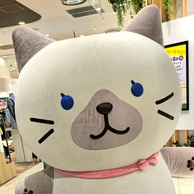 tyorica__'s profile picture. 推し活の絶傑