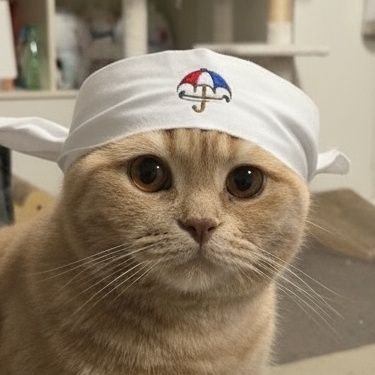 tricolor_samba's profile picture. 🇫🇷マリノス⚓と猫のいる暮らし😺
愛するトリコロールと愛猫みや(マンチカンの男の子。ブリティッシュショートヘア疑惑あり)を一方的にお届け中。
無言フォローすみません💦
無言フォロー大歓迎😻