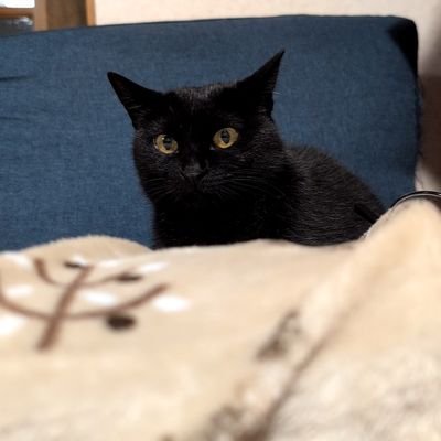 symphonie81's profile picture. 夫婦でJAM'S🍏