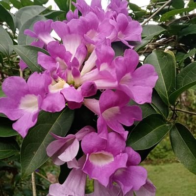 wdg32785's profile picture. 