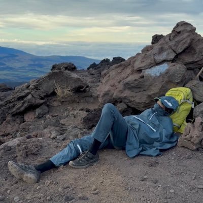 crossegrise's profile picture. en gros, palestine vivra et vaincra 🇵🇸