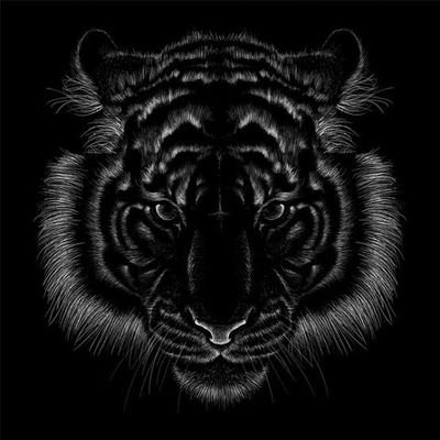 1225mercy's profile picture. Aspiring TSA student;🙏
Project Manager;
Real Estate intern🏢🏬;
Businessman;