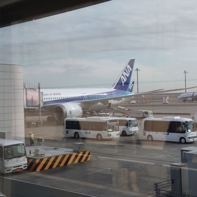 airplanelove111's profile picture. 杏一歌志歩推し