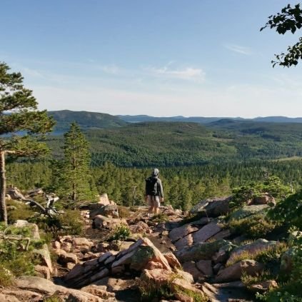 el_miikka's profile picture. Disruptive companies & asymmetric opportunities