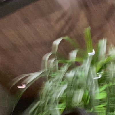 c4ynne's profile picture. itb 26