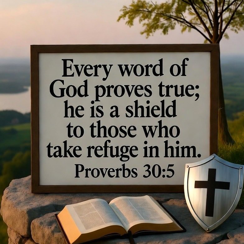 Josebtc8's profile picture. 