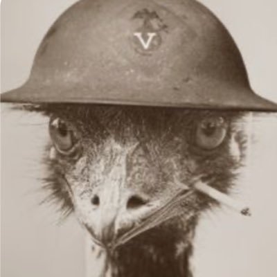 VultureCapital1's profile picture. 