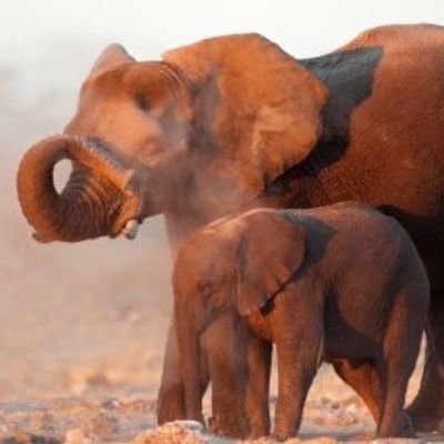 laineradford21's profile picture. 🇬🇧🏴󠁧󠁢󠁥󠁮󠁧󠁿