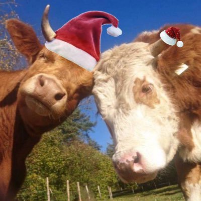 EsotericRacism's profile picture. Ethnoglobalist || HH