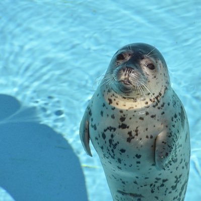 ifiloveu_'s profile picture. 消えない