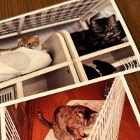 さゆ🐝🐒⚓️🌻 (@mfuhfd9z1rr3anq) 's Twitter Profile Photo